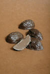 Legendarisch! De ingredi�nten van de kastanje zijn: pure & melkchocolade, slagroom, honing, pure kastanje